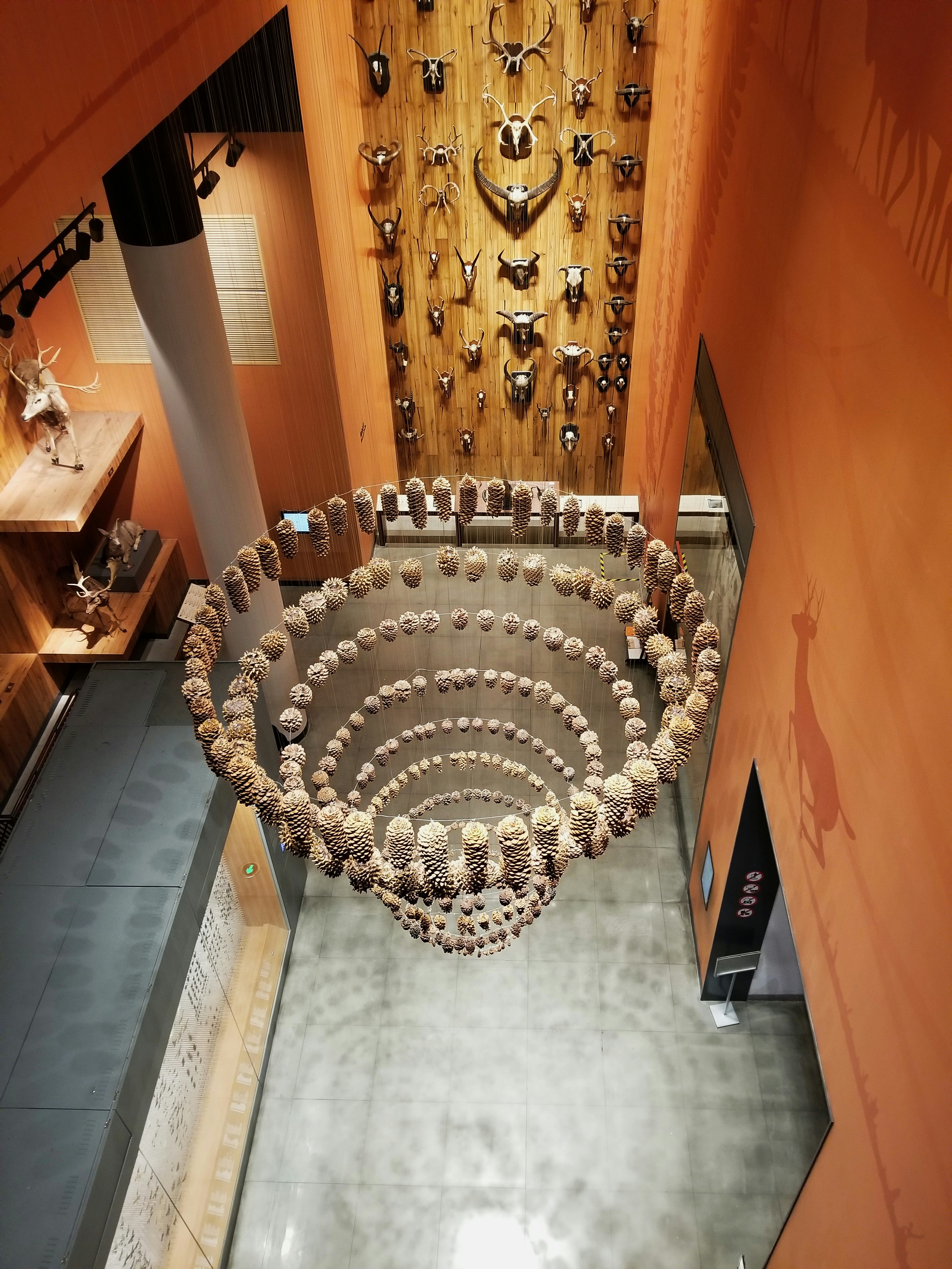 brown seashell chandelier